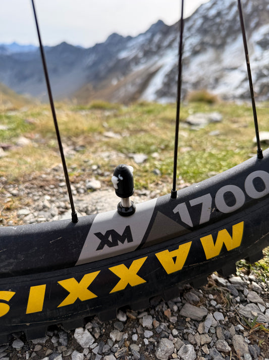 Bullet Bill Valve Cap Set – Custom 3D Printed Bike Accessory