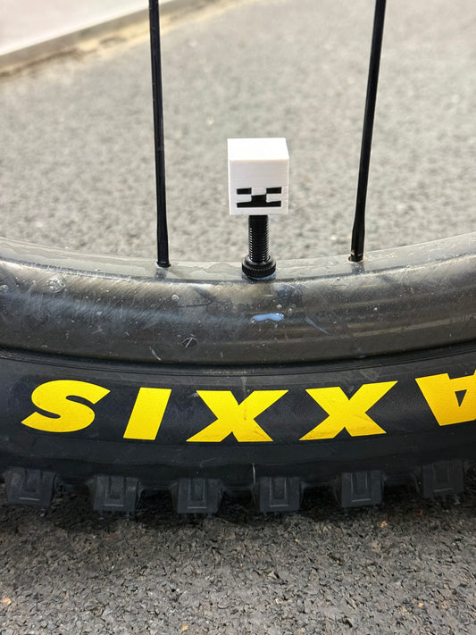Minecraft Skeleton Valve Cap Set | 3D Printed Bike Accessory – LuCycle