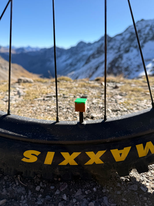 Minecraft Grass Block Valve Cap Set | 3D Printed Bike Accessory – LuCycle