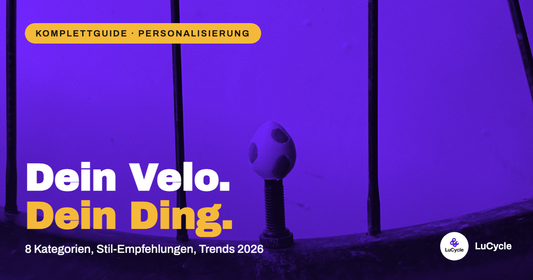 Bike-Personalisierung Komplettguide | LuCycle