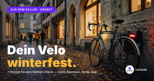 Velo winterfest machen: Herbst-Check Schweiz 2026