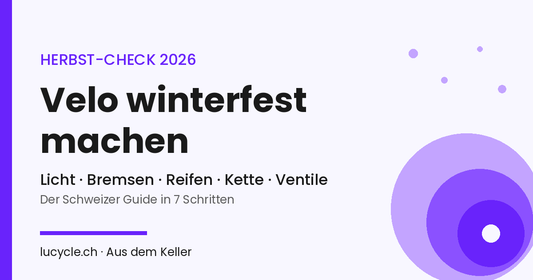 Velo winterfest machen: Herbst-Check Schweiz 2026