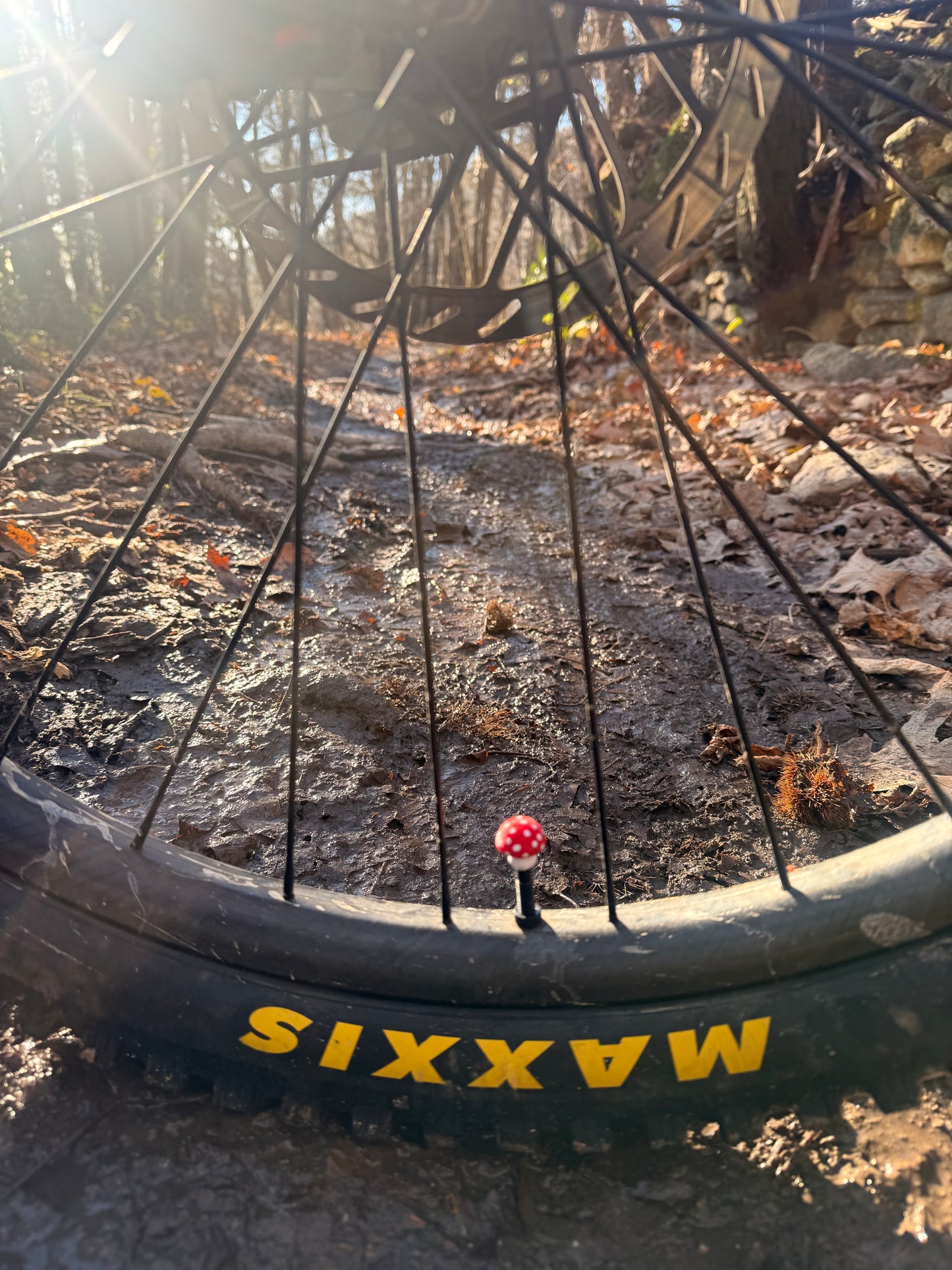 LuCycle Mushroom Valvecap PETG 2P