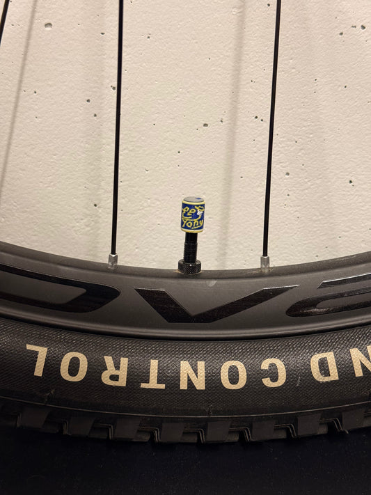 LuCycle El Tony Valve Cap PETG P2