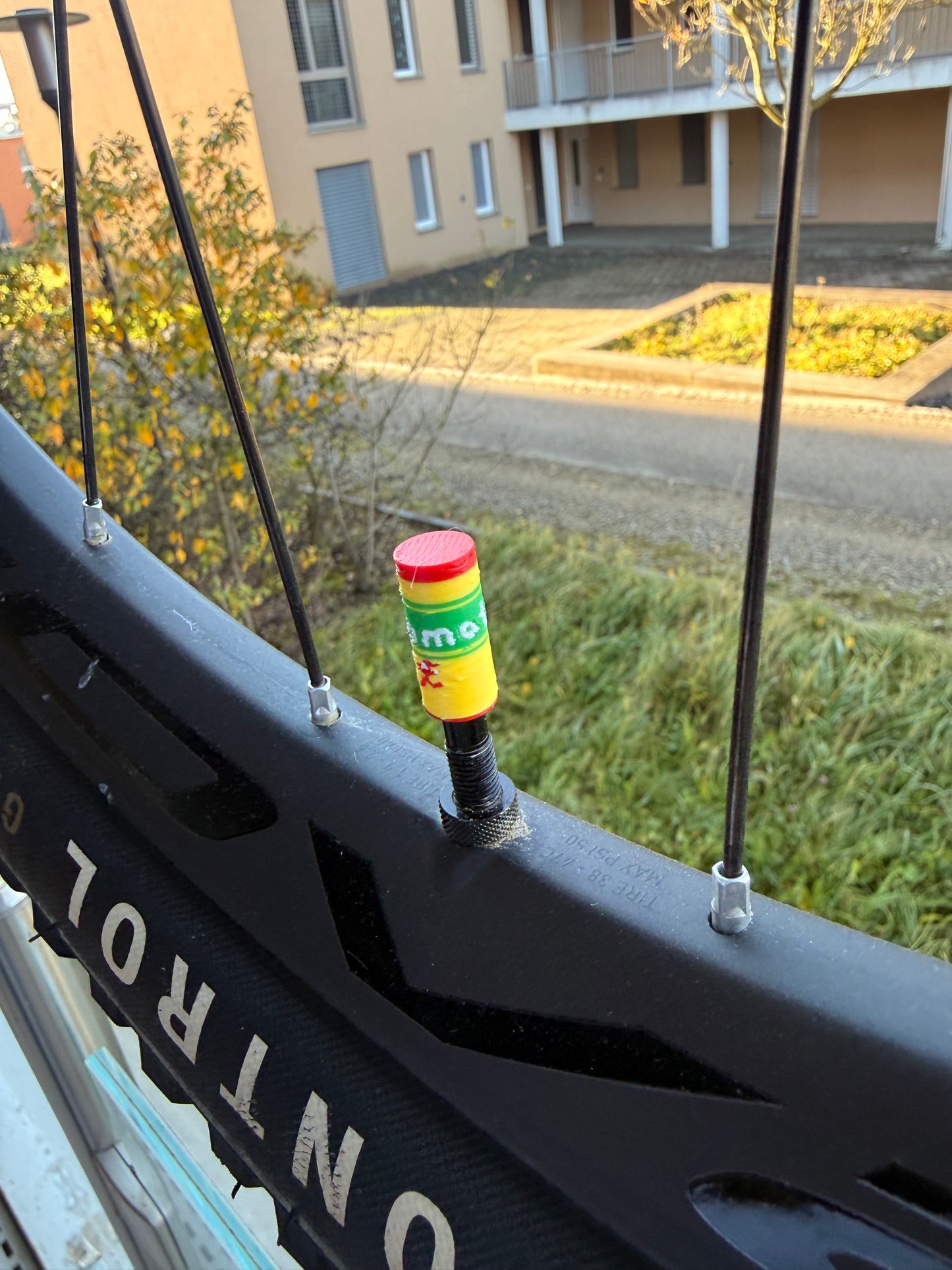 LuCycle Aeromat Valve Cap Set 3D Printet Bike Accessoire