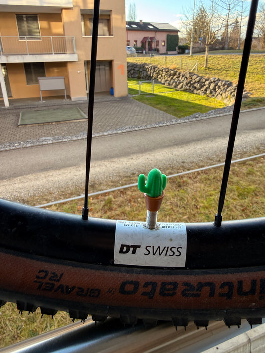 LuCycle Cactus Valvecap PETG 2P